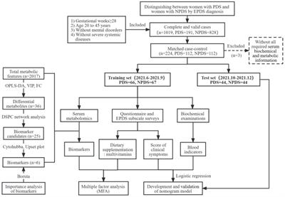 Assessing the risk of prenatal depressive symptoms in Chinese women: an integrated evaluation of serum metabolome, multivitamin supplement intake, and clinical blood indicators